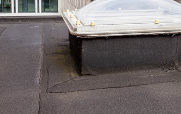 disadvantages of Earlish flat roofs